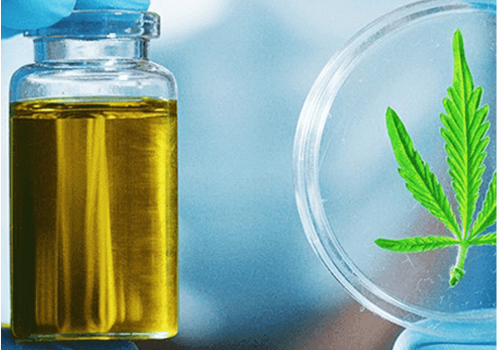 NACPT Extraction Head – Cannabis Modern Extraction Practices