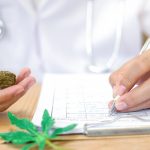 What Is Cannabis Quality Assurance?