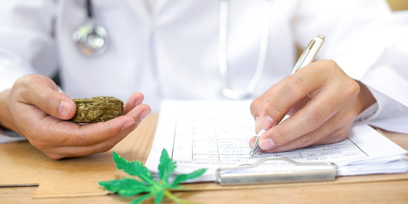 What Is Cannabis Quality Assurance?