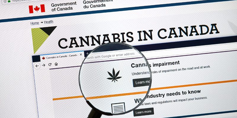 Cannabis Tracking and Licensing System (CTLS)