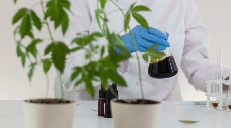 GMP and GPP for cannabis production