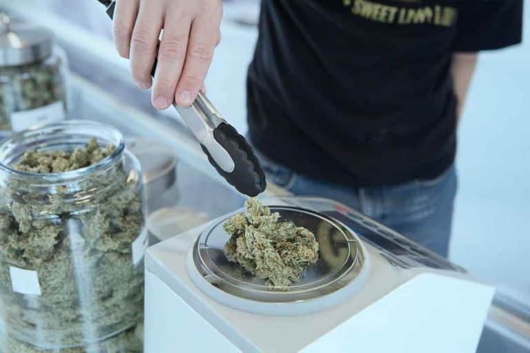 GMP-essential-in-Medical-Cannabis-Industry
